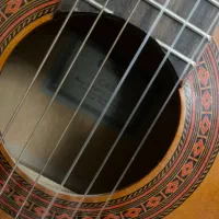 گیتار|گیتار، بیس، امپلیفایر|نیشابور, شهید جعفری|دیوار