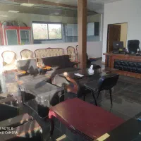 استخدام نیروی همکارخانم