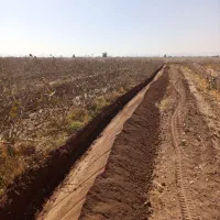 دستگاه ترنچر برای چاله کودی بسیار تمیز..|خدمات باغبانی و درختکاری|رفسنجان, |دیوار