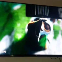 تلویزیون     دوو