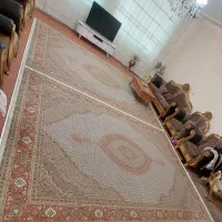 ۲ عدد فرش ۱۲ متری و ۲ عدد فرش ۶ متری، باهم میفروشم|فرش|اردبیل, |دیوار