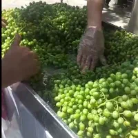 دستگاه/جدید/آبغورهcجدیدآب انگور گیری