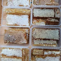 عسل طبیعی درجه یک|خوردنی و آشامیدنی|شاهین دژ, |دیوار