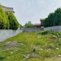 دوبر-ساخت-بافت-با-سنددار-این-از-دست-نده
