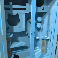 خانه گربه|گربه|قشم, |دیوار