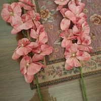 گل ارکیده