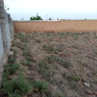 فروش-زمین-کشاورزی