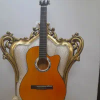 گیتار  اصل ،دیاموند الماس نشان