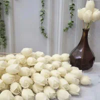 هفت سین.شمع.یلدا.گیفت عروس.سنگ مصنوعی