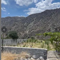 ۶۵ قصب زمین درمانگاه دلفارد