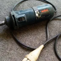 فرزانگشتی‌اصل‌بوش‌