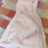لباس دخترونه و اسپرت|کفش و لباس بچه|شیراز, لشکری‎|دیوار