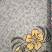 موکت