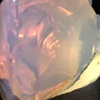 اوپال نچرال