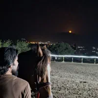 آموزش سوار کاری