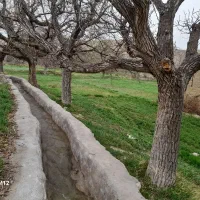 راهنمایی لازم