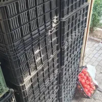 سبدگوجه|ظروف نگهدارنده، پلاستیکی، یکبارمصرف|مشهد, شهرک امام هادی (شهرک غرب)|دیوار