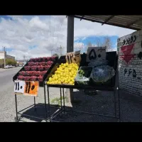 استند/پالت/قفسه میوه چرخدار آکبند