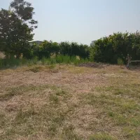 زمین-کلاجان-قاجار-خانه-سری-220متری