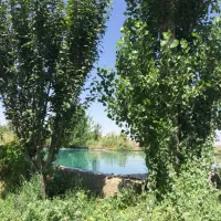 زمین-بوئین-زهرا
