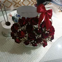 مدارک گم شده