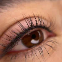 بهترین فیبروز کاره ساری|خدمات آرایشگری و زیبایی|ساری, |دیوار