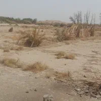 فروش چاه آب کشاورزی وزمین|اجارهٔ دفتر صنعتی، کشاورزی، تجاری|ایرانشهر, |دیوار