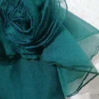 لباس مجلسی دخترانه|کفش و لباس بچه|شیراز, تاچارا|دیوار