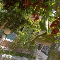 اجاره باغ ویلا