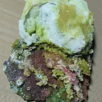 اشیا کلکسیونی