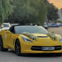 اجاره ، رنت ماشین عروس