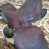 زین و عرقگیر   کلگی سینه بند