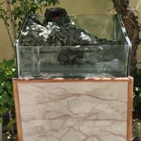 آکواریوم با طرح صخره و آبشار|ماهی|ارومیه, |دیوار