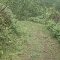 زمین . ملک . مستغلات