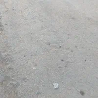 زمین پرستاران