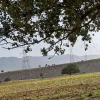 زمین گردنگاه