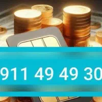0911-49-49-303