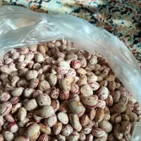 فروش لوبیا چیتی،لوبیا سفید قیمت مناسب ۳۵۰