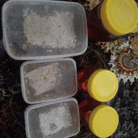 عسل طبیعی|خوردنی و آشامیدنی|قرچک, میرزائی شمالی|دیوار