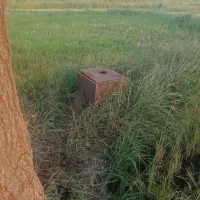 زمین شالیزار به متراژ ۱۲۰۰۰ متر بر آسفالت|فروش دفتر صنعتی، کشاورزی، تجاری|آستانه اشرفیه, |دیوار