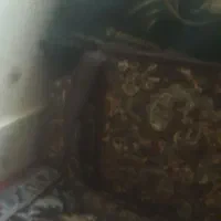 همخونه شاغل و بدون حاشیه