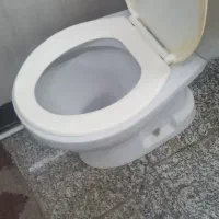 توالت فرنگی