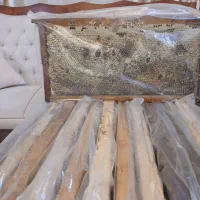 فروش عسل کوهستان نوا (دشت آزو)