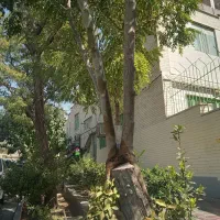 ویلایی مستغلات ۲ طبقه دونبش مناسب مشاغل