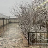 مدارک گمشده (مژده گانی)