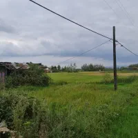 فروش بیجار در شفت|فروش زمین و ملک کلنگی|شفت, |دیوار