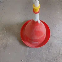 آبخوری مرغ و جوجه|لوازم جانبی حیوانات|بافق, |دیوار