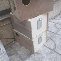 انواع لانه|پرنده|شیراز, شریفآباد|دیوار