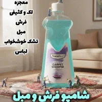 محصولات نانوسان بیز درخشش حرفه‌ای برای خودروی شما|مواد شوینده و دستمال کاغذی|شیراز, سینما سعدی|دیوار