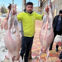 ( گوشت قصابی مجیدی )
